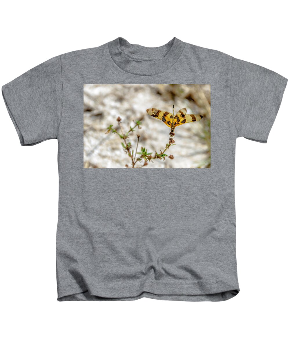 Dragonfly Kids T-Shirt featuring the photograph Beautiful Dragonfly by Wolfgang Stocker