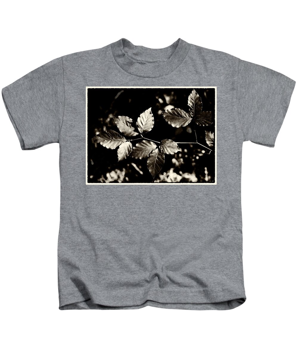 Leaves Kids T-Shirt featuring the photograph Beech Leaves by Mark Egerton