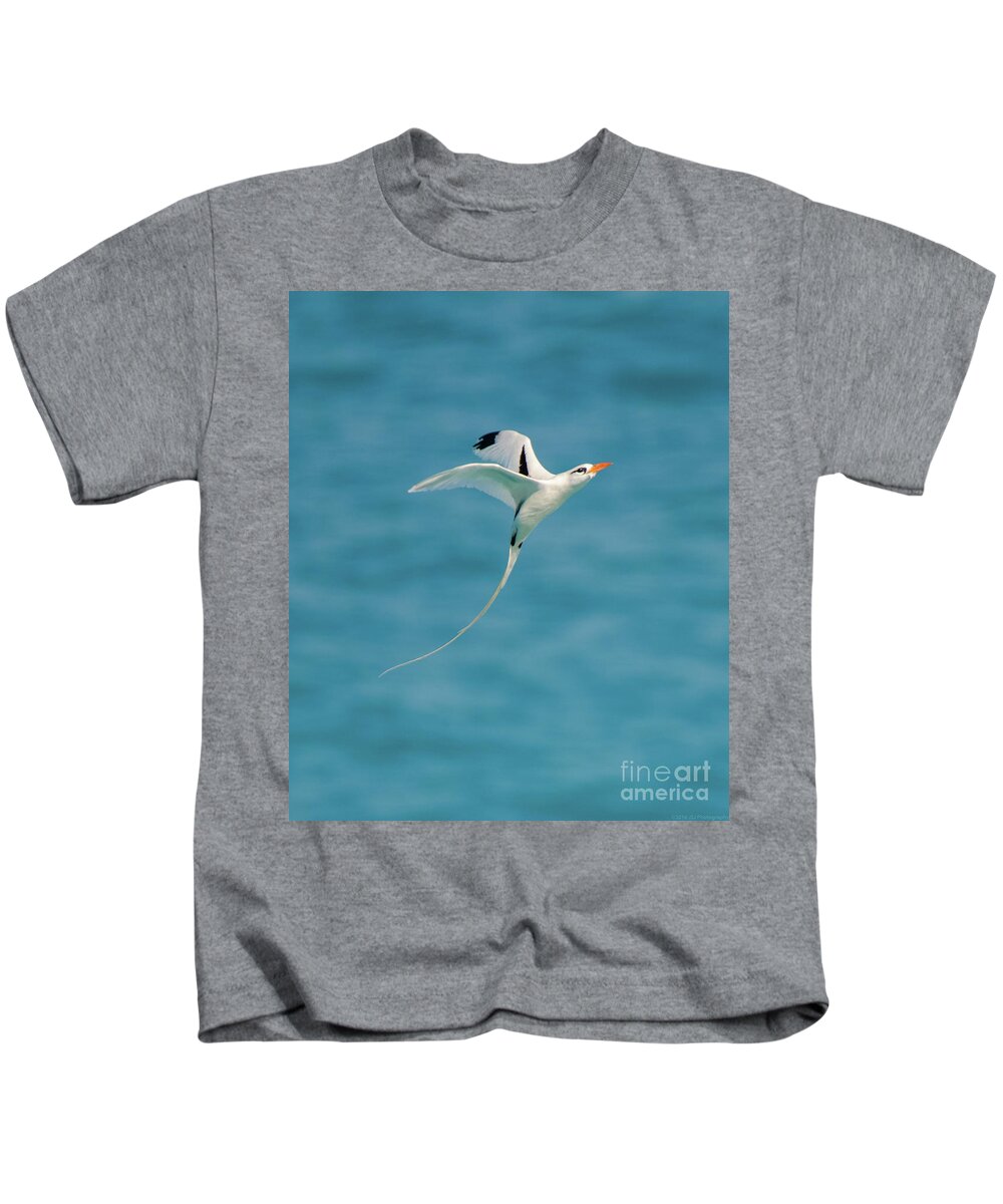 Atlantic Kids T-Shirt featuring the photograph Bermuda Longtail S Curve by Jeff at JSJ Photography
