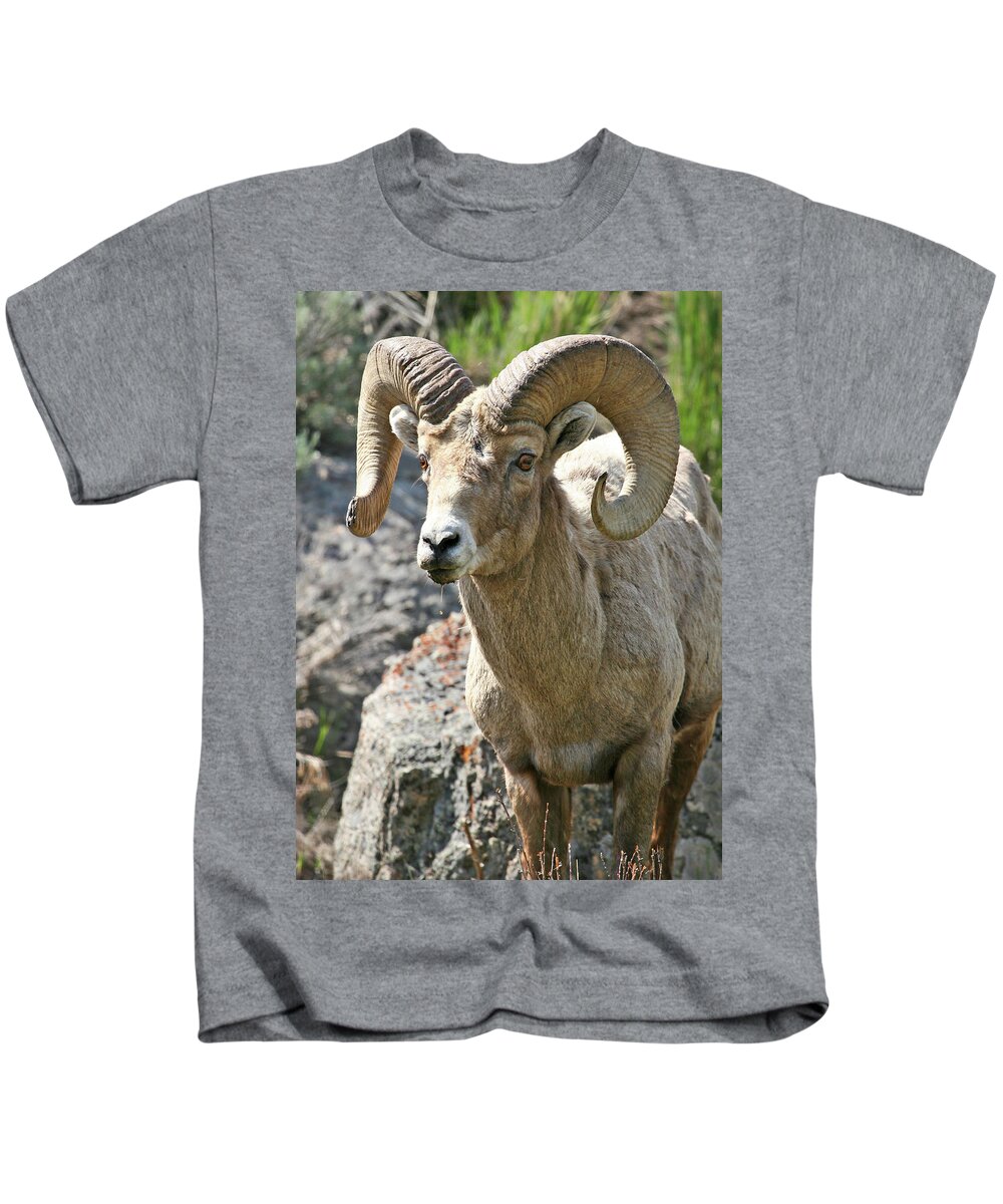 Bighorn Sheep Kids T-Shirt featuring the photograph Bighorn Sheep by Wesley Aston