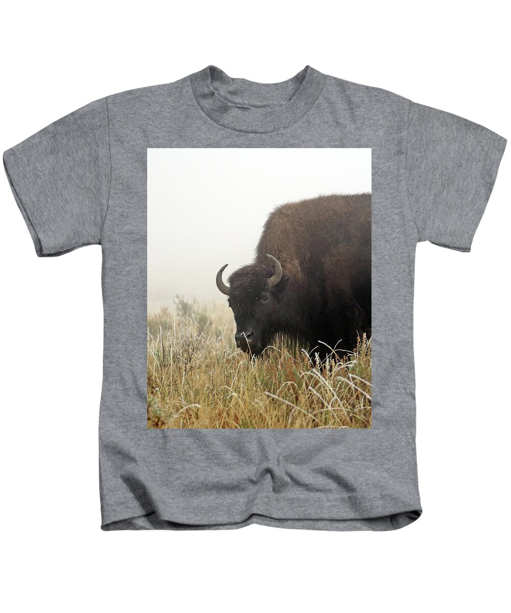 Bison Kids T-Shirt featuring the photograph Bison in the Frosty Morning by Jean Clark