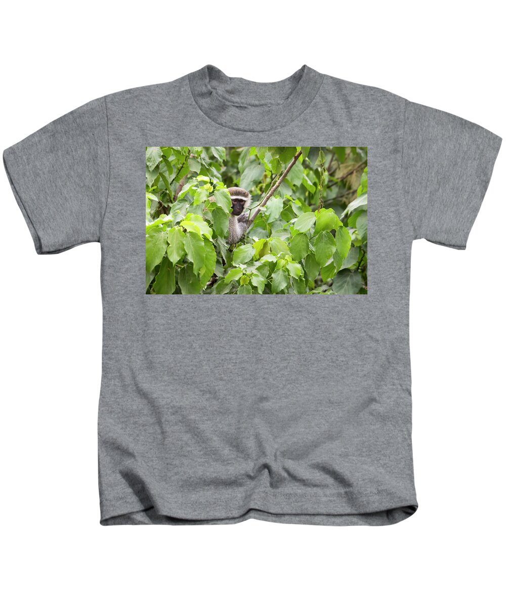 Africa Kids T-Shirt featuring the photograph Black faced vervet monkey in leafy tree, Uganda by Karen Foley