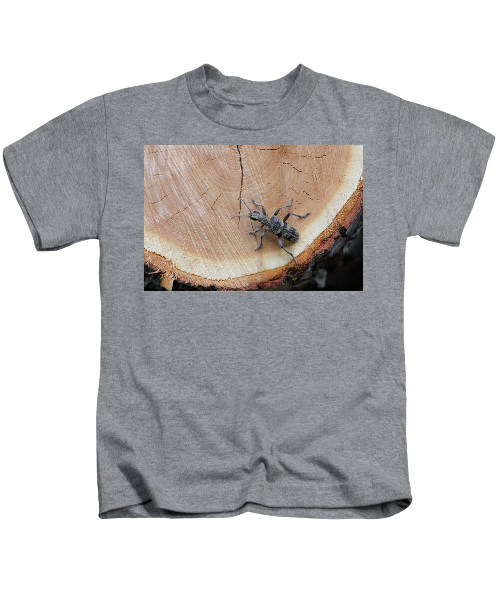 Insect Kids T-Shirt featuring the photograph Blackspotted pliers support beetle by Ulrich Kunst And Bettina Scheidulin