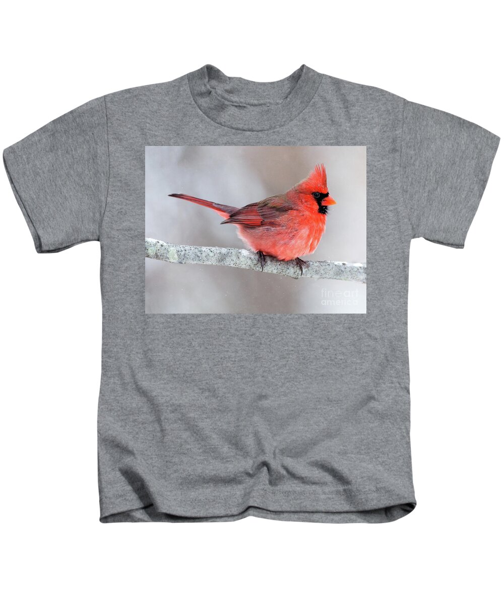 Male Cardinal Kids T-Shirt featuring the photograph Winter Cardinal by Art Cole