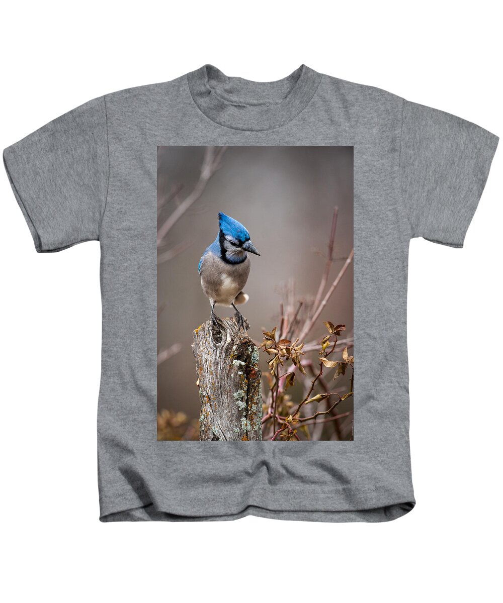 Animal Kids T-Shirt featuring the photograph Blue Jay on Hedge Post 2 by Jeff Phillippi