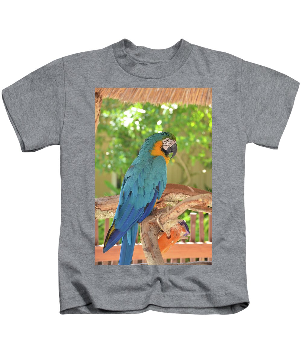 Parrot Kids T-Shirt featuring the photograph Blue Parrot with a Toy by Artful Imagery