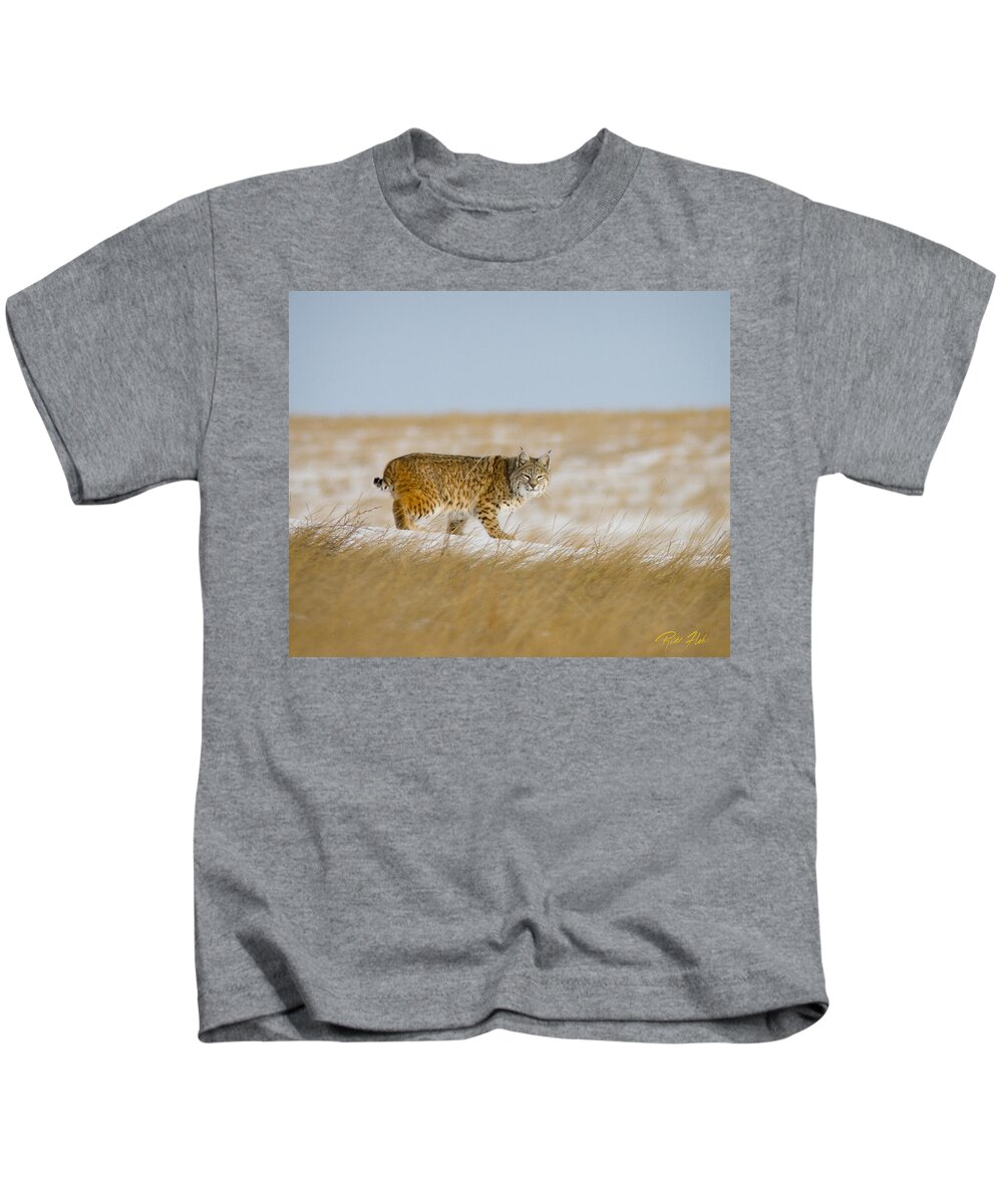 Animals Kids T-Shirt featuring the photograph Bobcat in Sunlight by Rikk Flohr