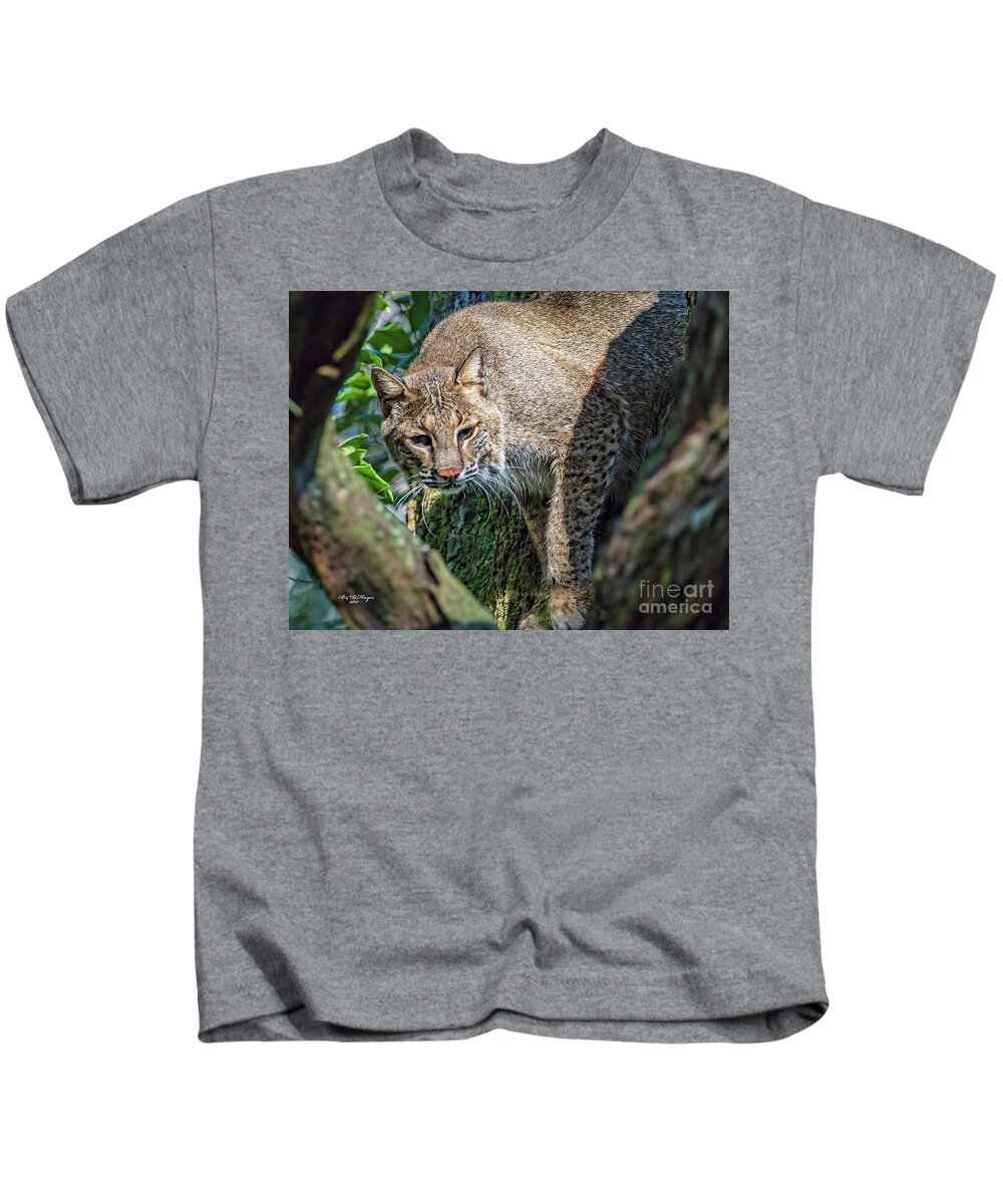 Nature Kids T-Shirt featuring the photograph Bobcat On The Prowl by DB Hayes