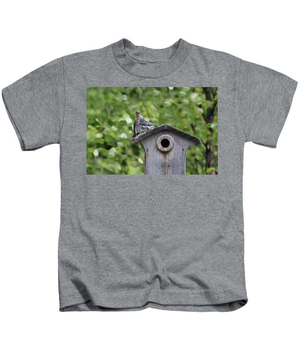 Bluebird Kids T-Shirt featuring the photograph Brother from another Mother by Jackson Pearson