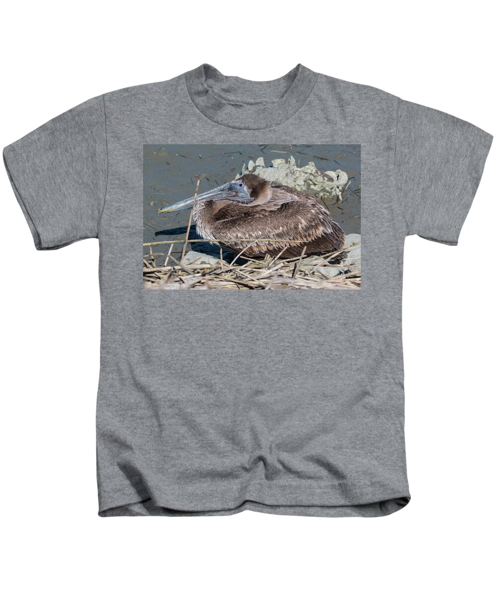 Pelican Kids T-Shirt featuring the photograph Brown Pelican 3 March 2018 by D K Wall
