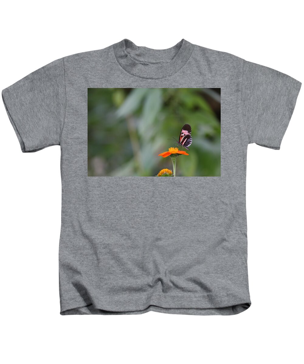 Butterfly Kids T-Shirt featuring the photograph Butterfly 16 by Michael Fryd