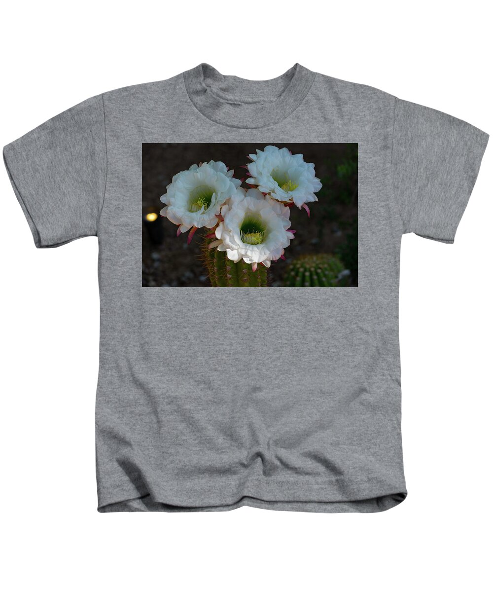 Cactus Kids T-Shirt featuring the photograph Cactus Flowers by Douglas Killourie