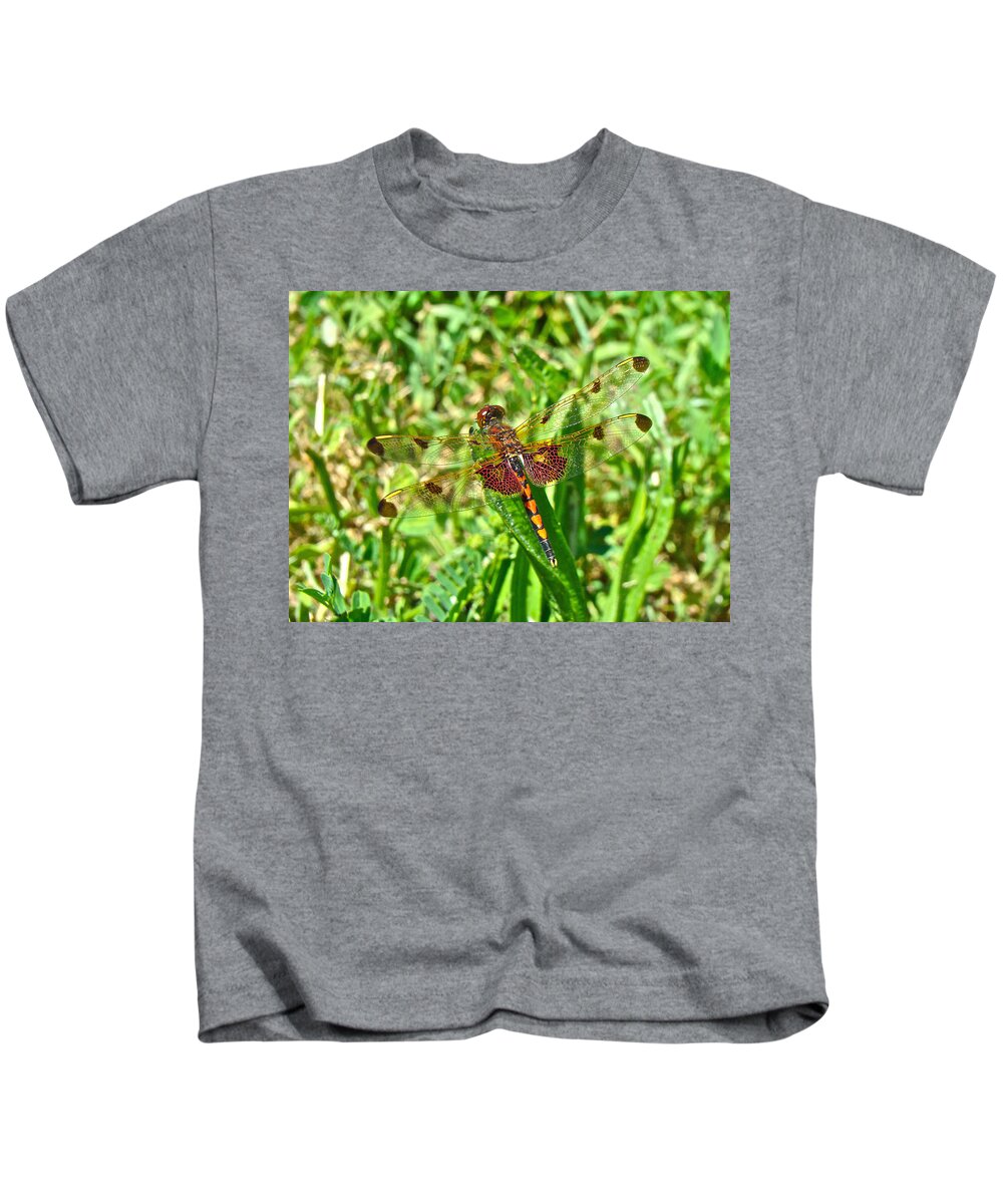 Dragonfly Kids T-Shirt featuring the photograph Calico Pennant Dragonfly - Celithemis elisa by Carol Senske