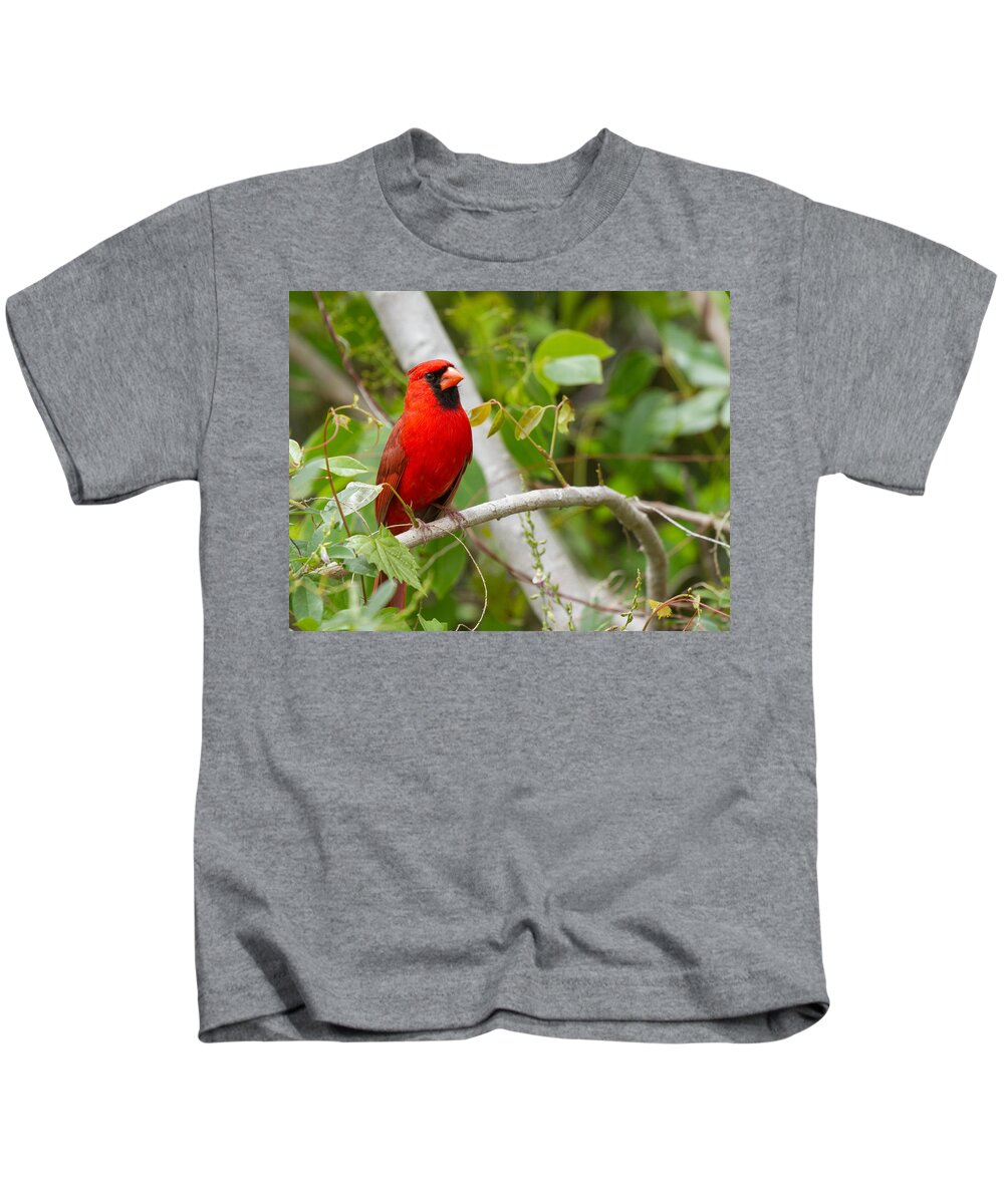 Cardinal Kids T-Shirt featuring the photograph Cardinal 147 by Michael Fryd