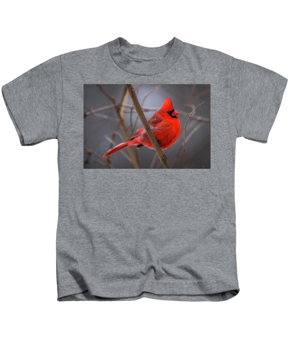  Kids T-Shirt featuring the photograph Cardinal 2 by Tony HUTSON