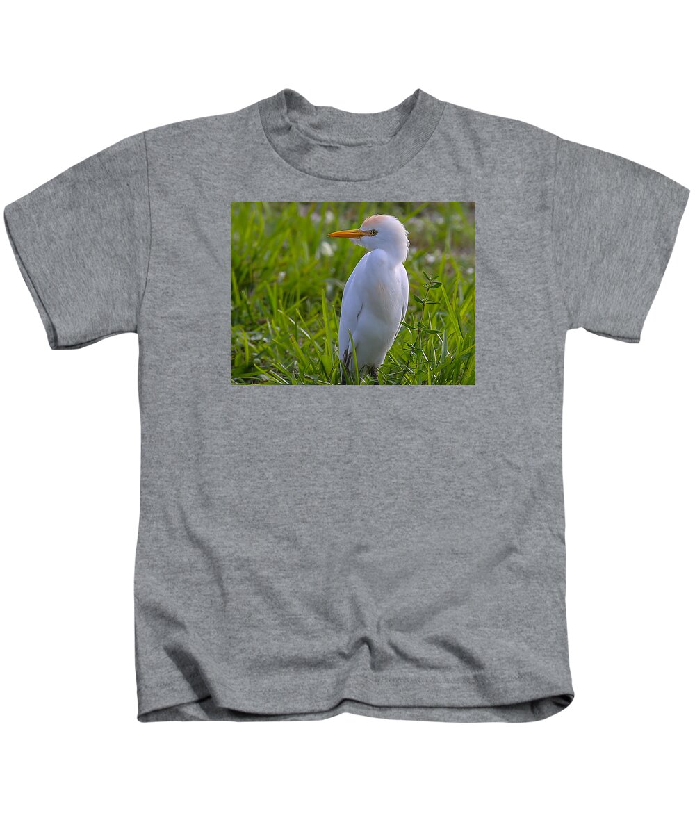Cattle Egret Kids T-Shirt featuring the photograph Cattle Egret by Dart Humeston