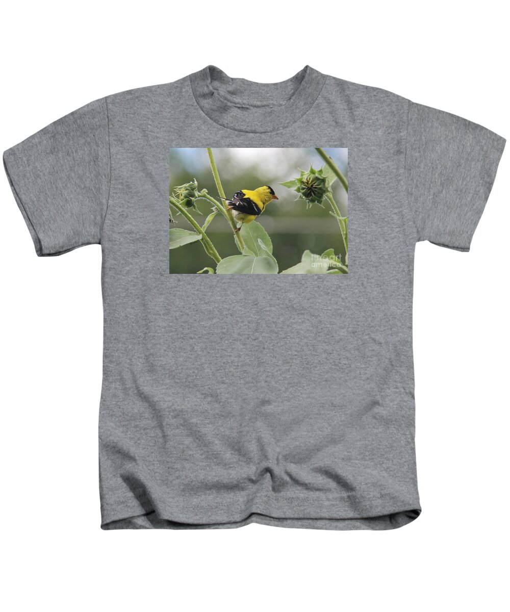 Birds Kids T-Shirt featuring the photograph Caution by Yumi Johnson