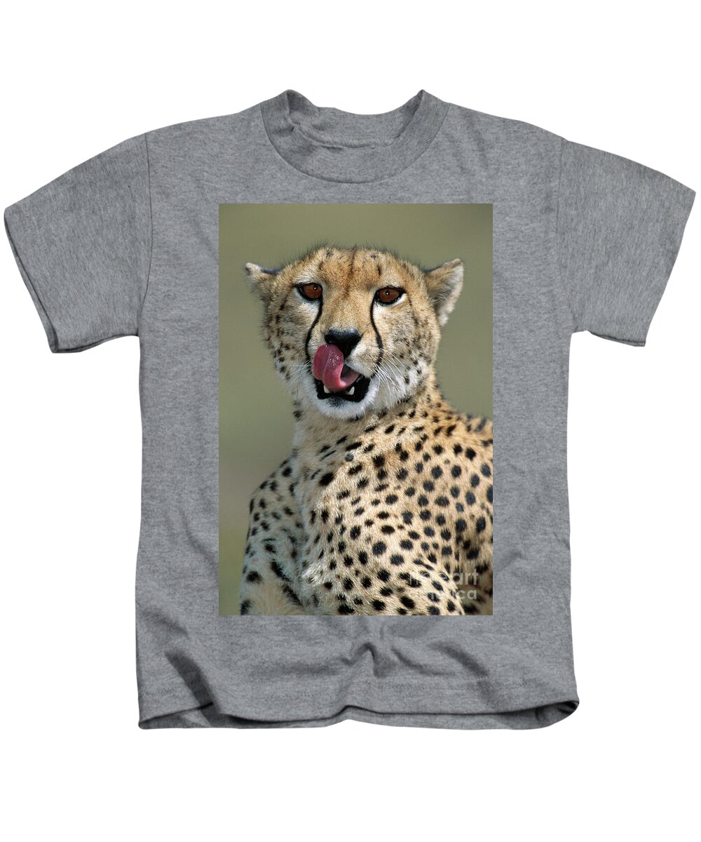 00344996 Kids T-Shirt featuring the photograph Cheetah Licking by Yva Momatiuk John Eastcott