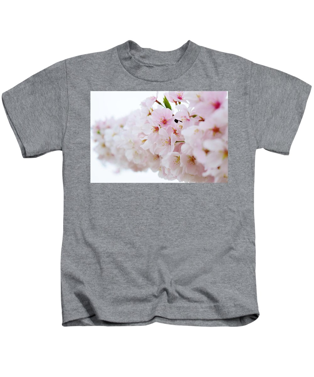 Cherry Blossom Kids T-Shirt featuring the photograph Cherry Blossom Focus by Nicole Lloyd