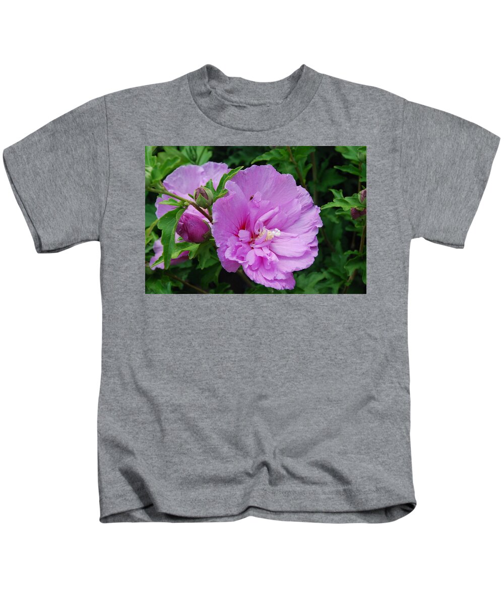 Pink Flowers Kids T-Shirt featuring the photograph Cherry Blossoms by Ee Photography