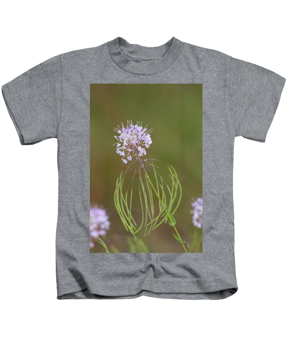 Warea Kids T-Shirt featuring the photograph Clasping Warea by Paul Rebmann