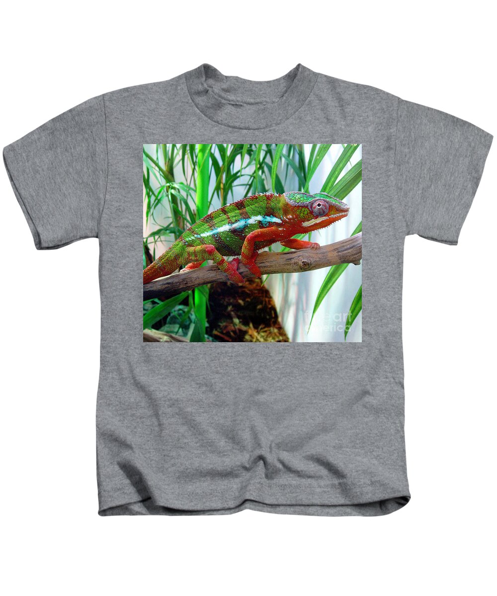 Chameleon Kids T-Shirt featuring the photograph Colorful Chameleon by Nancy Mueller