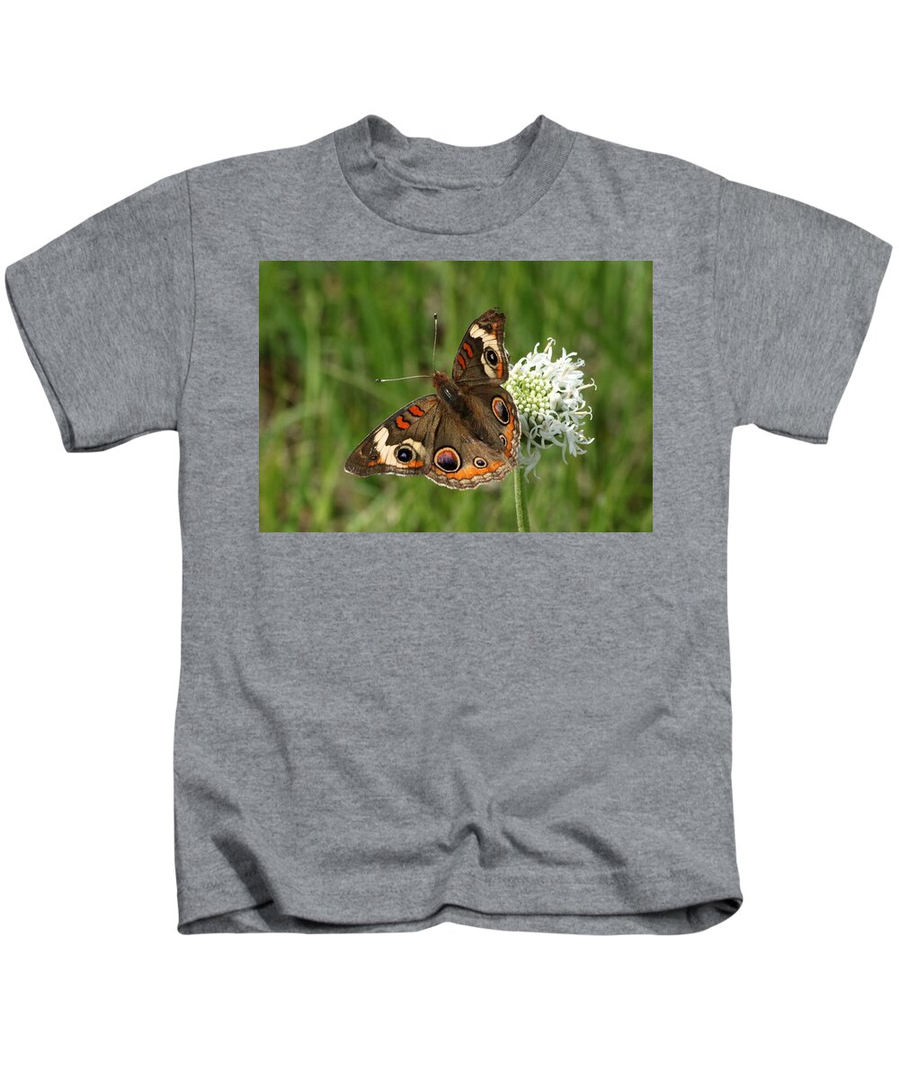 Nature Kids T-Shirt featuring the photograph Common Buckeye Butterfly on Wildflower by Sheila Brown