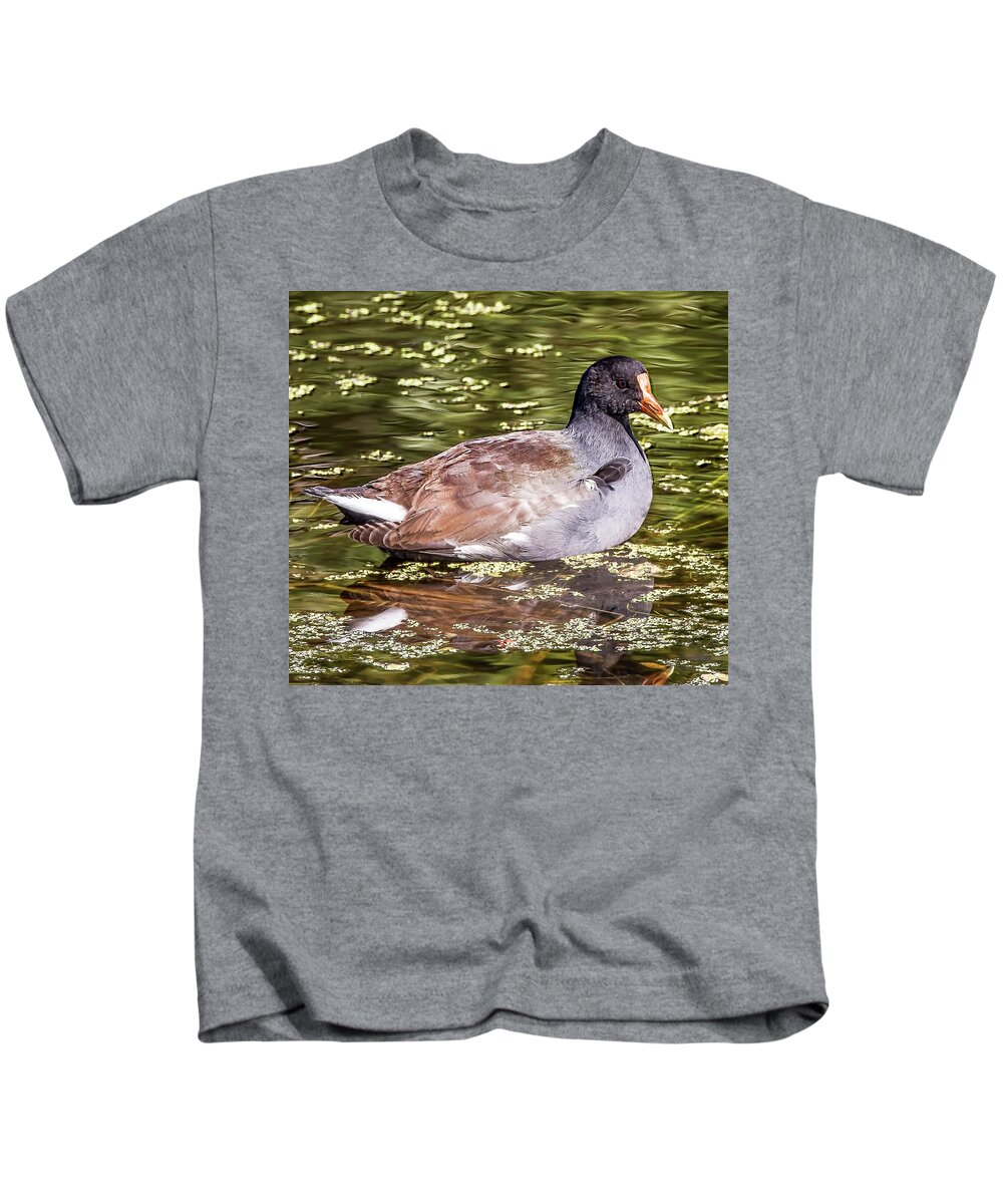Common Gallinule Kids T-Shirt featuring the photograph Common Gallinule by Richard Goldman