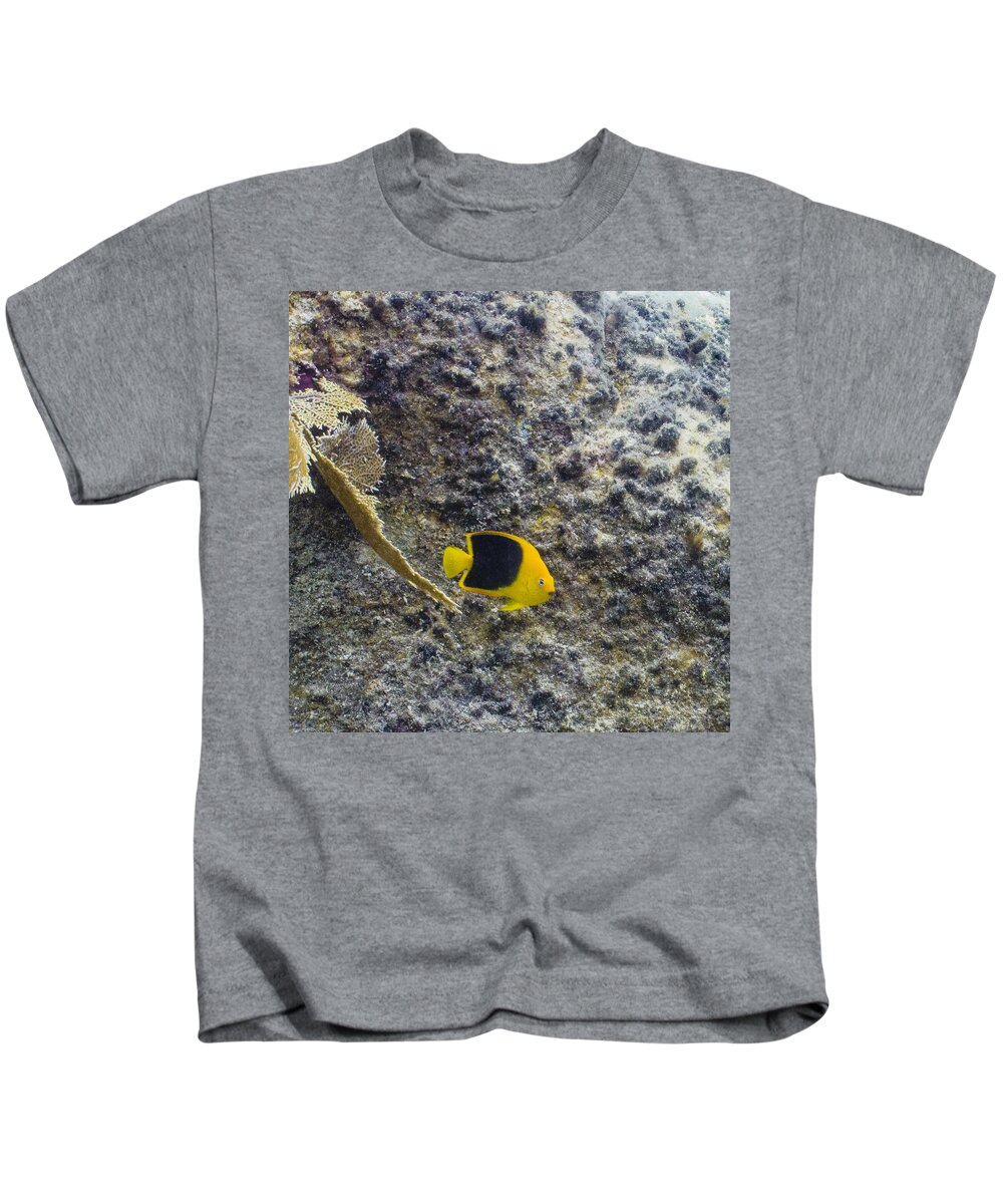 Ocean Kids T-Shirt featuring the photograph Cutie Beauty by Lynne Browne