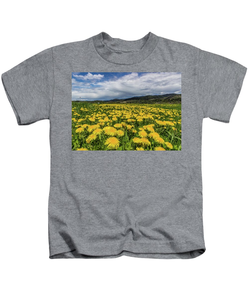 Flowers Kids T-Shirt featuring the photograph Dandelion Fields by Tim Kirchoff