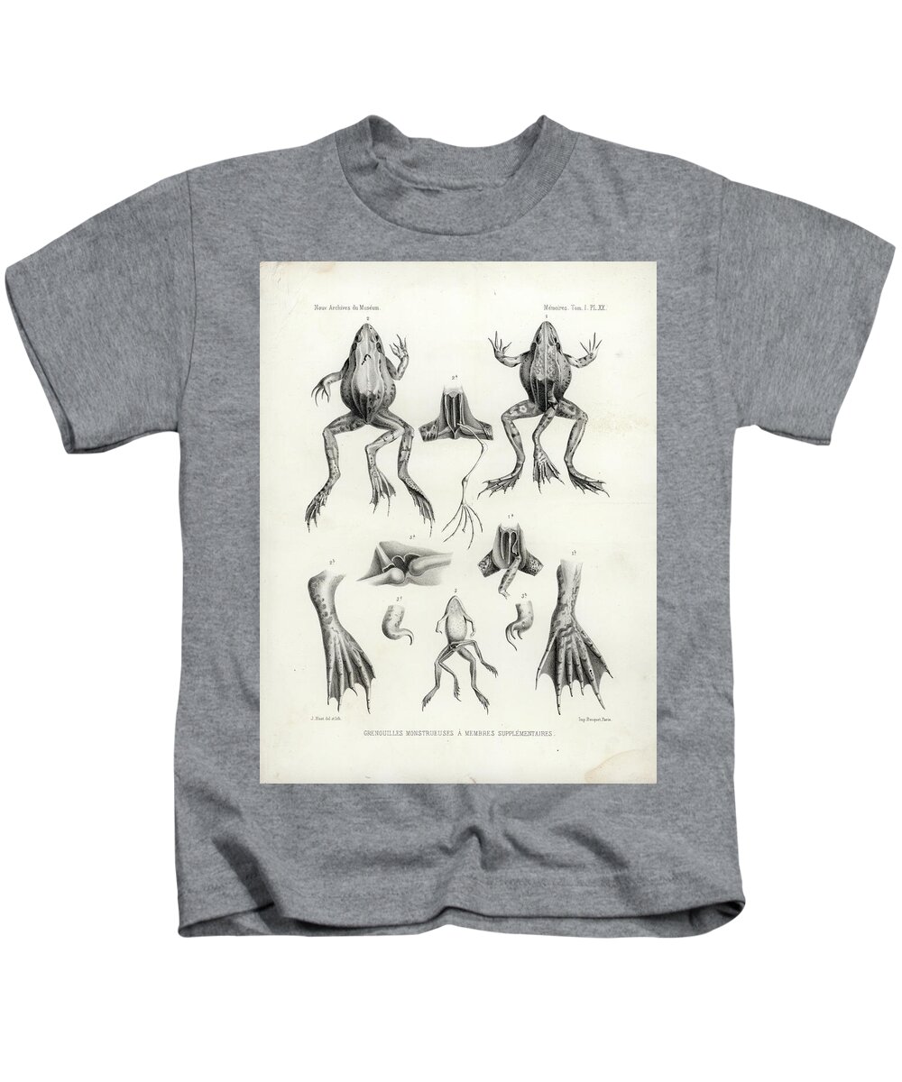Frog Kids T-Shirt featuring the drawing Deformed frogs - Historic by Joseph Huet