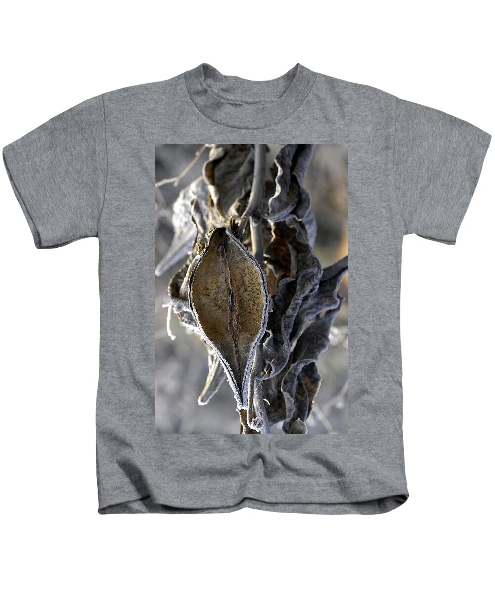Milkweed Kids T-Shirt featuring the photograph Delivered - Milkweed by DArcy Evans