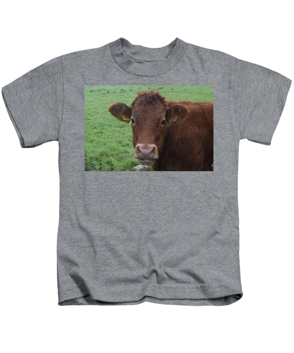 Ireland Kids T-Shirt featuring the photograph Doolin Cow by Curtis Krusie