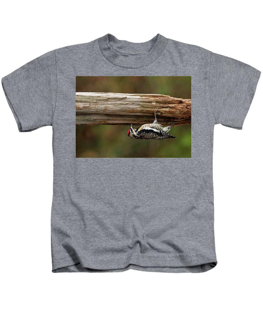 Bird Kids T-Shirt featuring the photograph Hairy Woodpecker by Daniel Reed