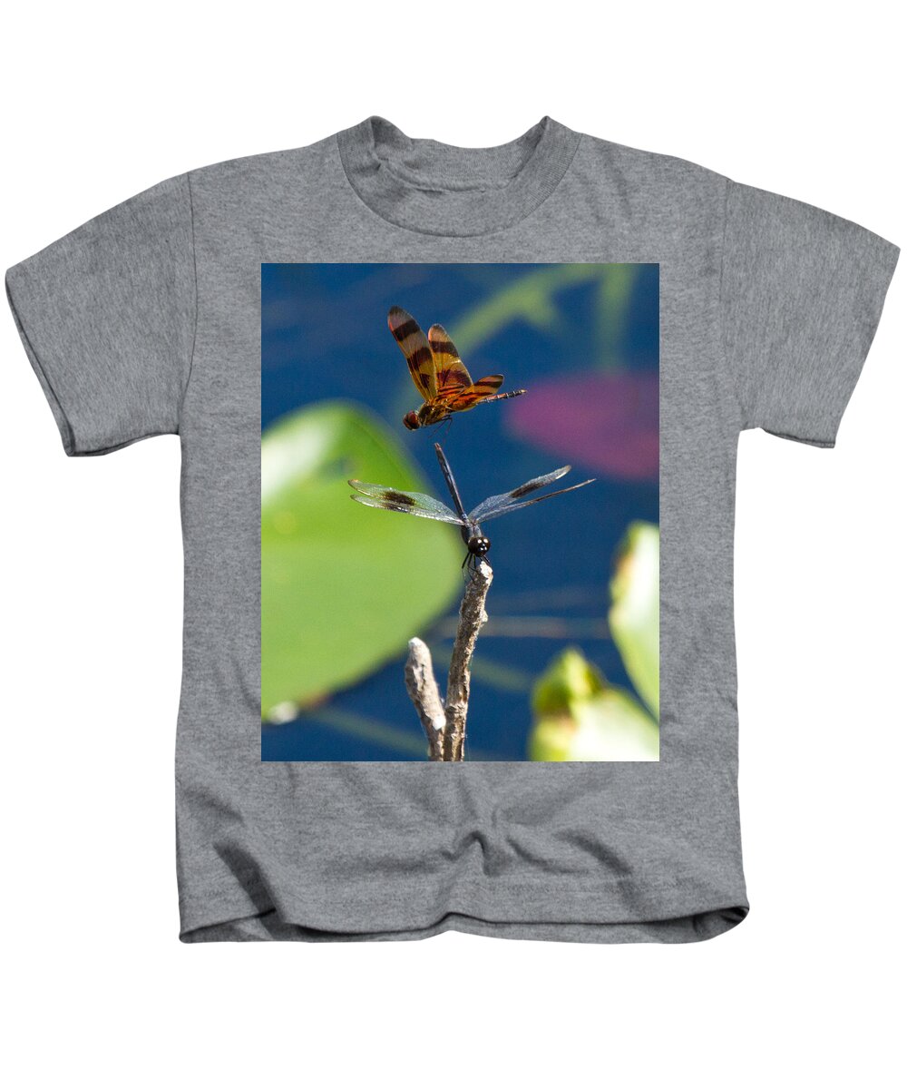 Dragon Fly Kids T-Shirt featuring the photograph Dragon Fly 195 by Michael Fryd