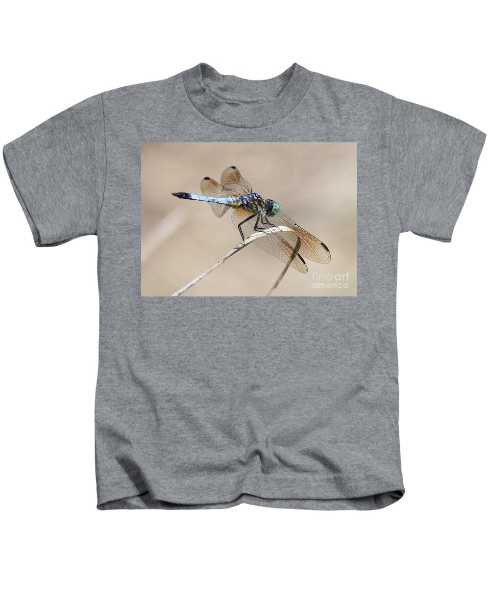 Dragonfly Kids T-Shirt featuring the photograph Dragonfly on Bent Reed by Carol Groenen