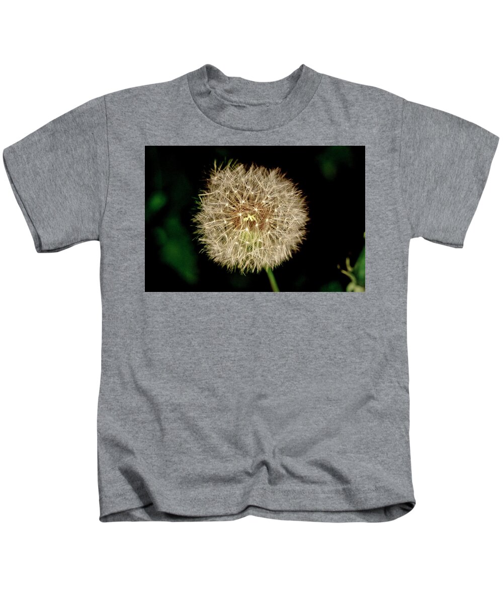 Dandelion Kids T-Shirt featuring the photograph Early in the morning. by Elena Perelman