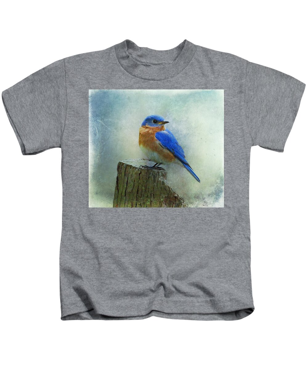 Bluebird Kids T-Shirt featuring the photograph Eastern Bluebird II by Sandy Keeton