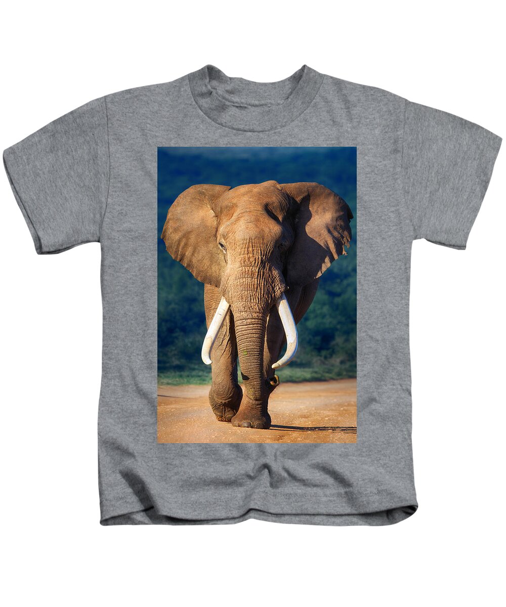 Elephant Kids T-Shirt featuring the photograph Elephant approaching by Johan Swanepoel