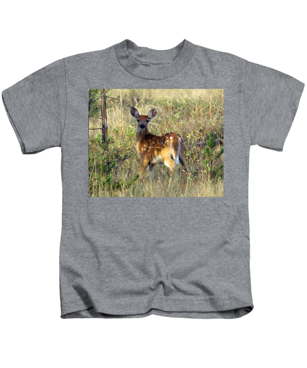 Deer Kids T-Shirt featuring the photograph Fawn by Marty Koch