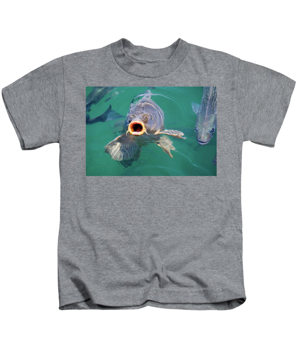Feed Me Kids T-Shirt featuring the photograph Feed Me by Anthony Jones