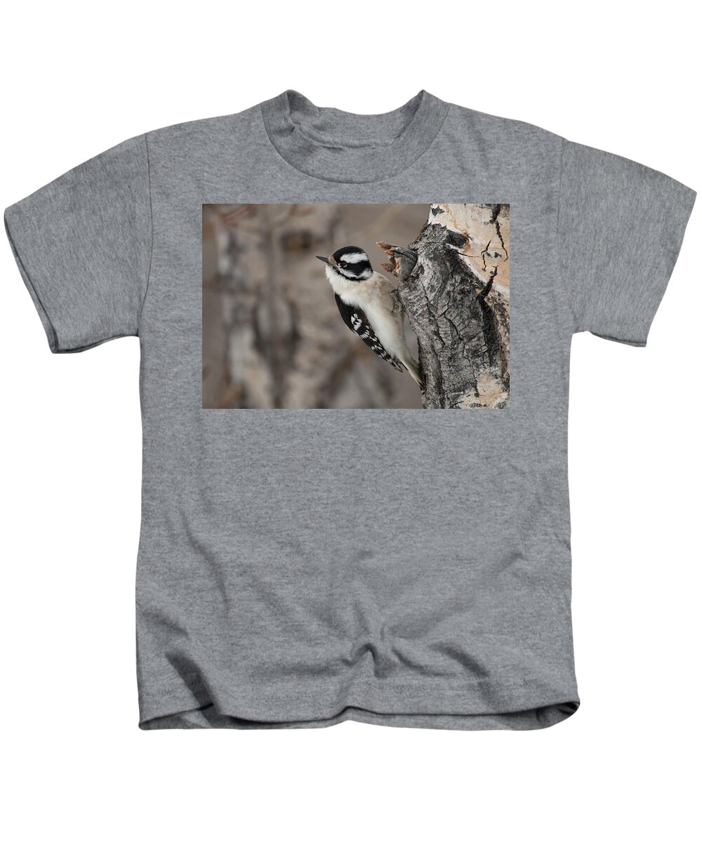 Bird Kids T-Shirt featuring the photograph Female Downey Woodpecker by Celine Pollard