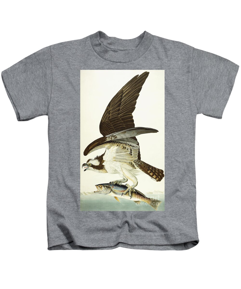 Fish Hawk Kids T-Shirt by John James Audubon - Bridgeman Prints