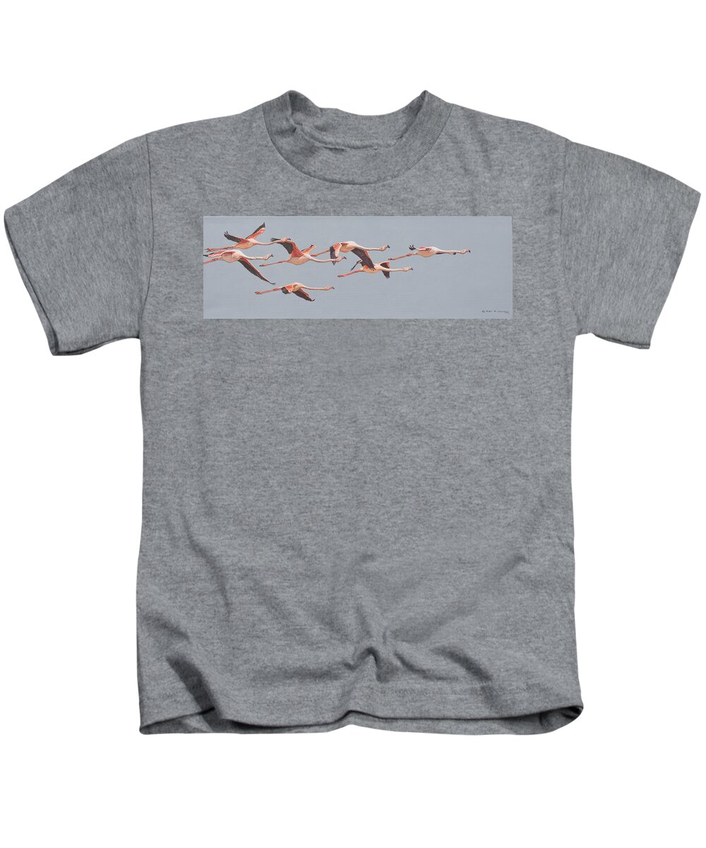 Wildlife Paintings Kids T-Shirt featuring the painting Flamingos in Flight by Alan M Hunt