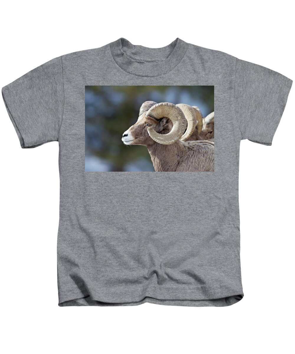 Bighorn Kids T-Shirt featuring the photograph Formation by Eilish Palmer