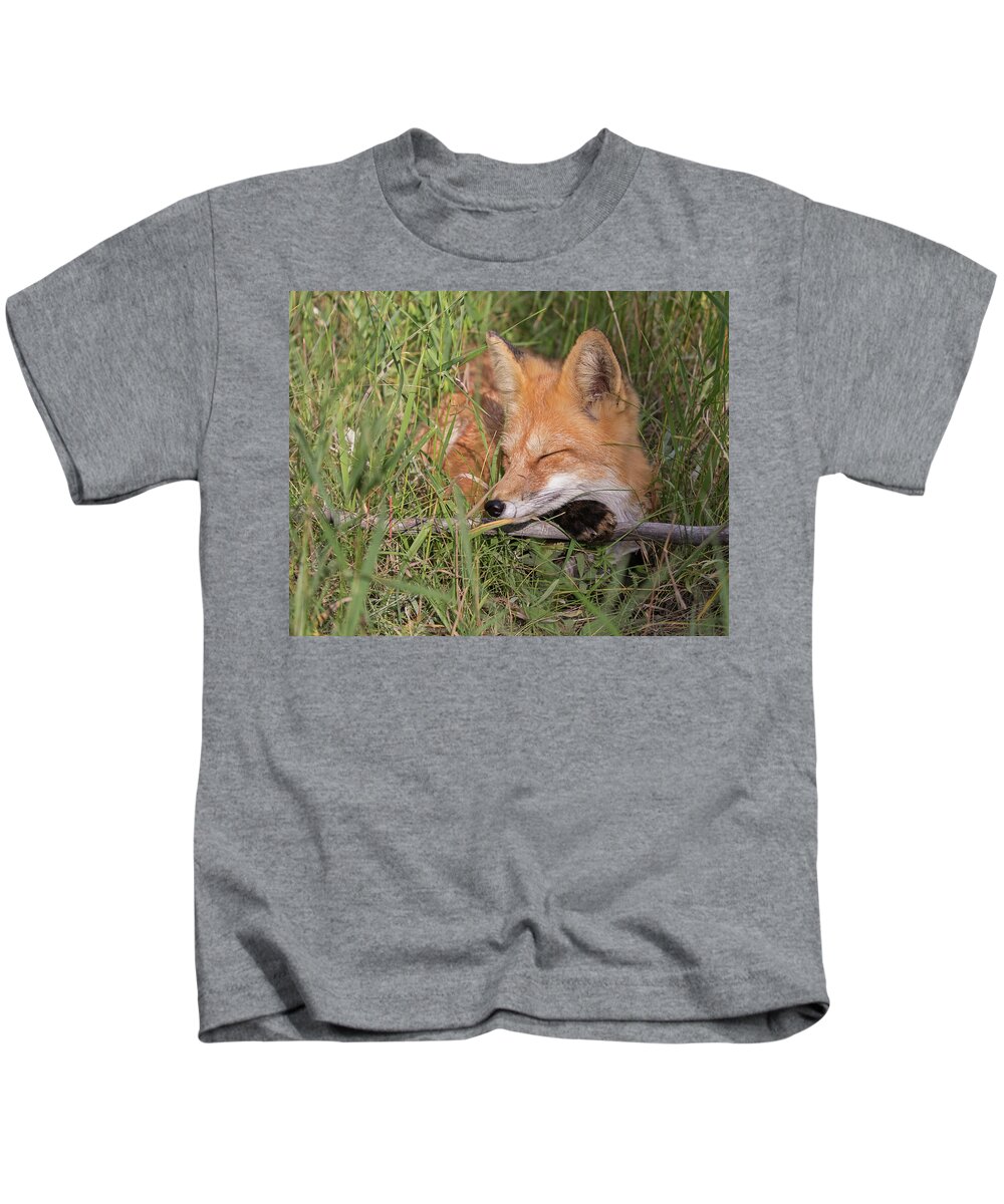 Red Fox Kids T-Shirt featuring the photograph Fox Dreams by Mindy Musick King