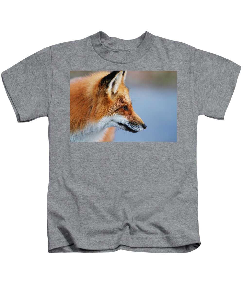 Animal Kids T-Shirt featuring the photograph Fox profile by Mircea Costina Photography