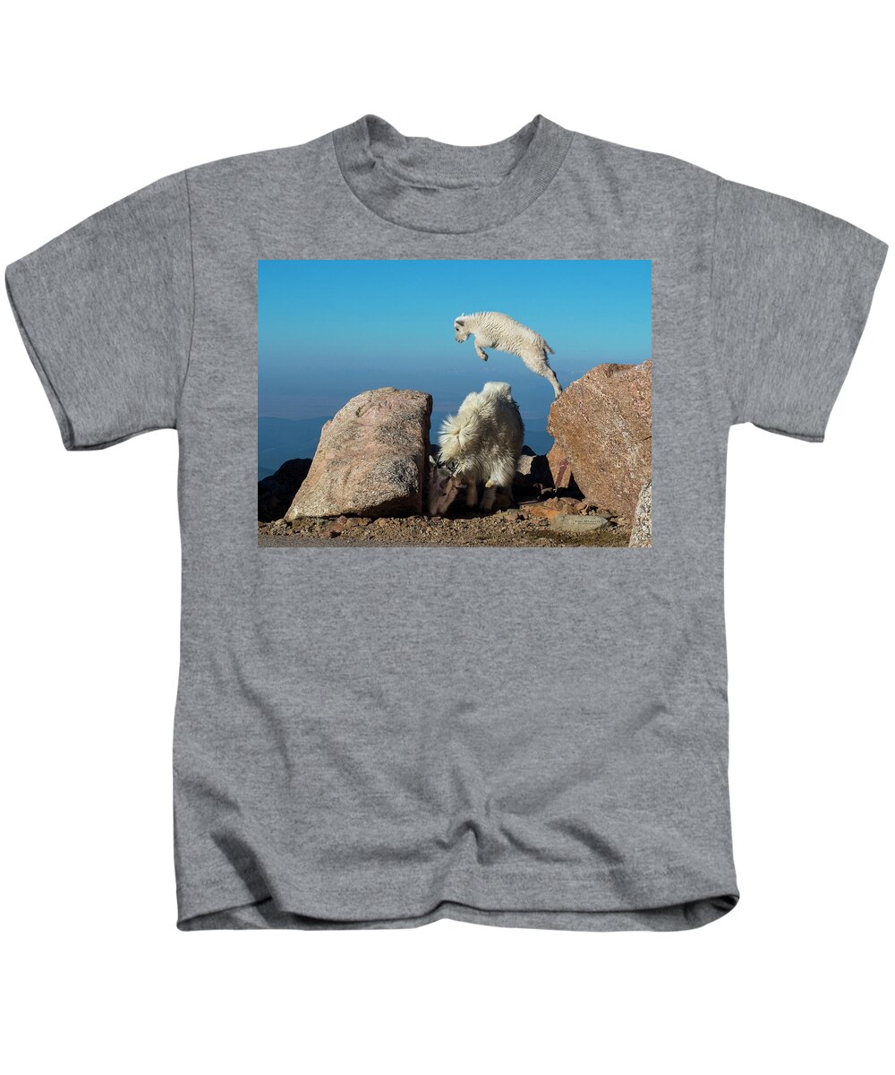 Mountain Goat Kids T-Shirt featuring the photograph Leaping baby mountain goat by Judi Dressler