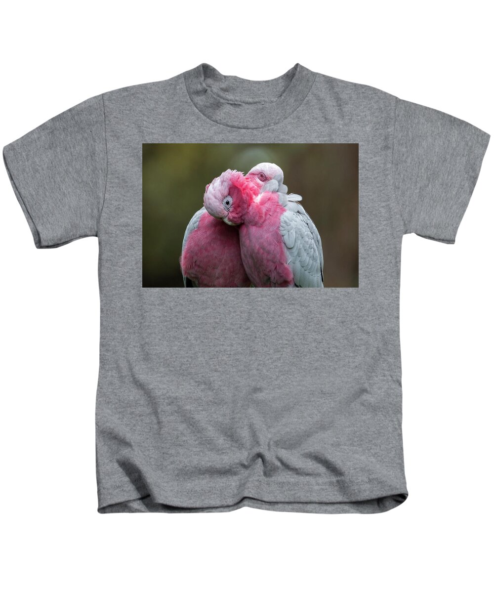 Bird Kids T-Shirt featuring the photograph Galahs by Diana Andersen