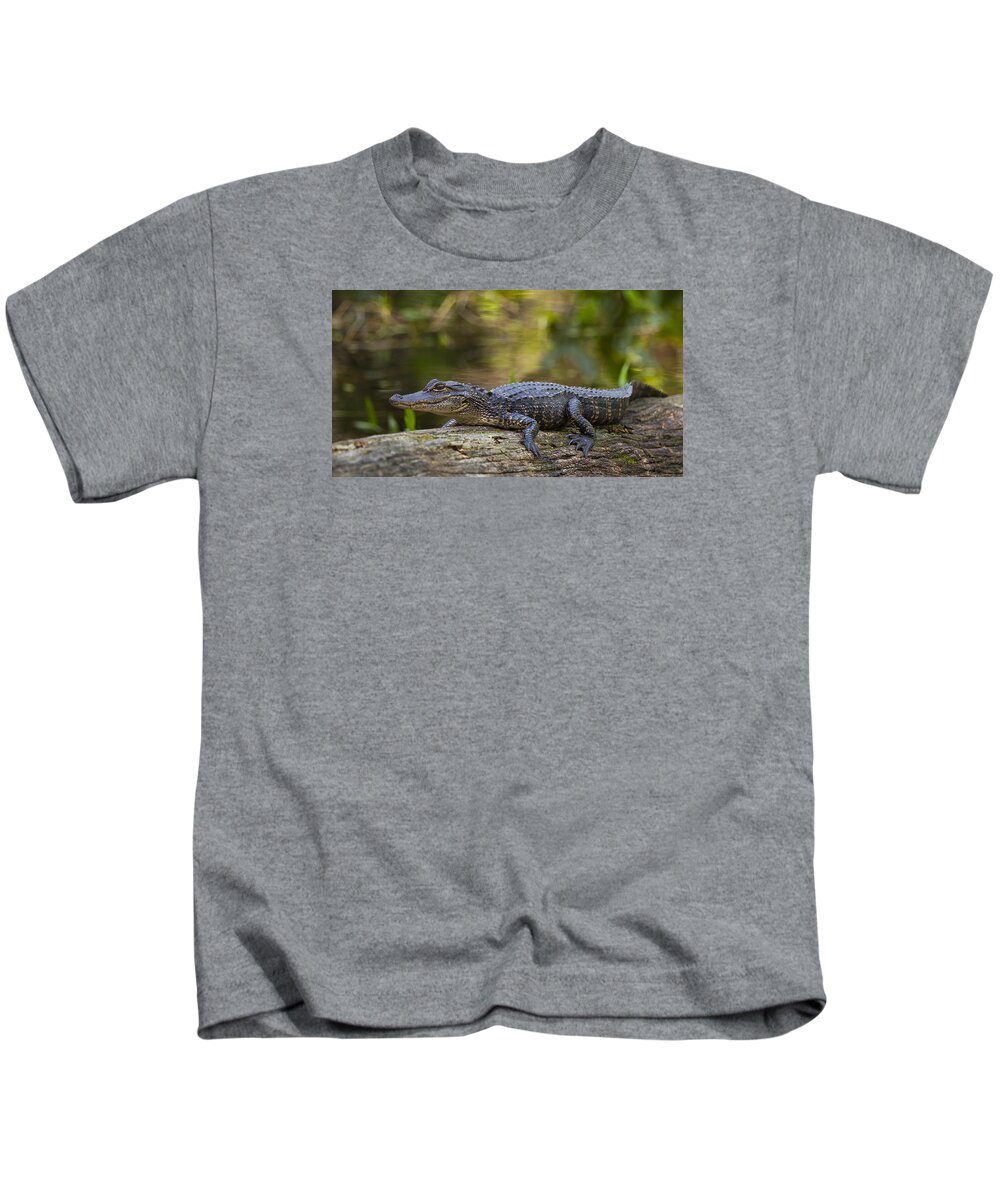 Southwest Kids T-Shirt featuring the photograph Gator Time by Sean Allen